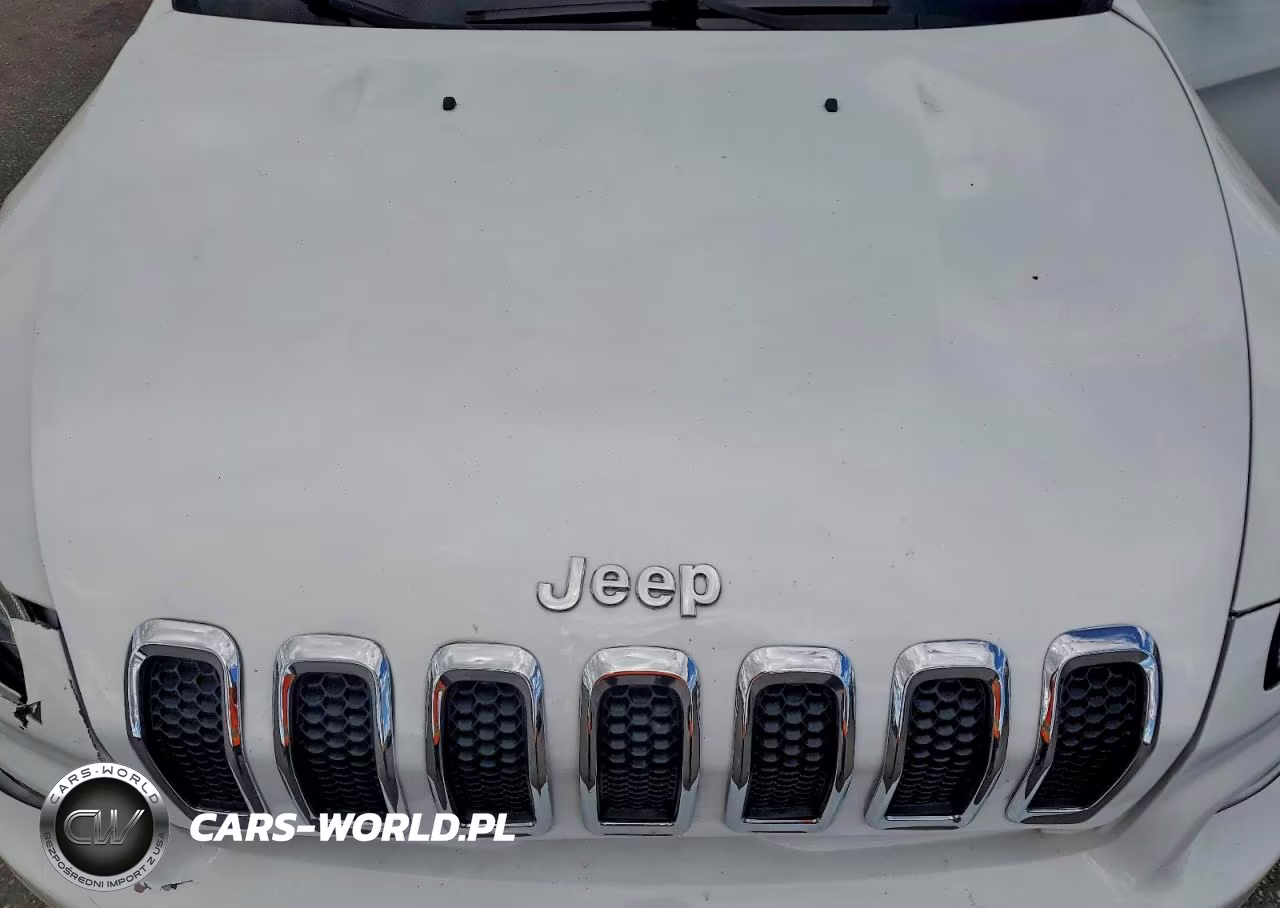2017 Jeep Cherokee Sport VIN:1C4PJMAB7HW567737 - 12