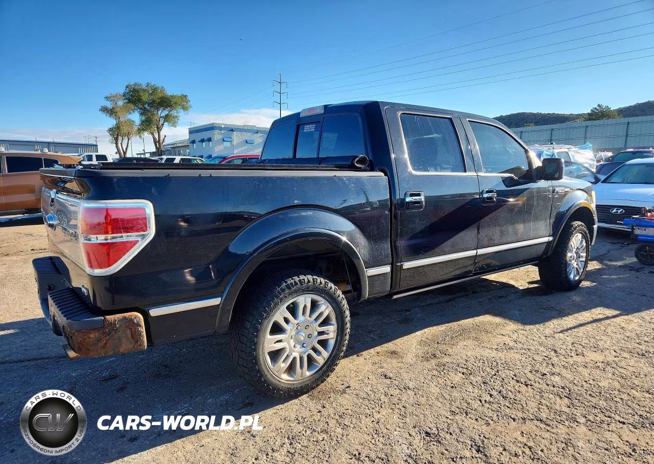 2010 Ford F150 Supercrew VIN:1FTFW1EV6AFB78044 - 3