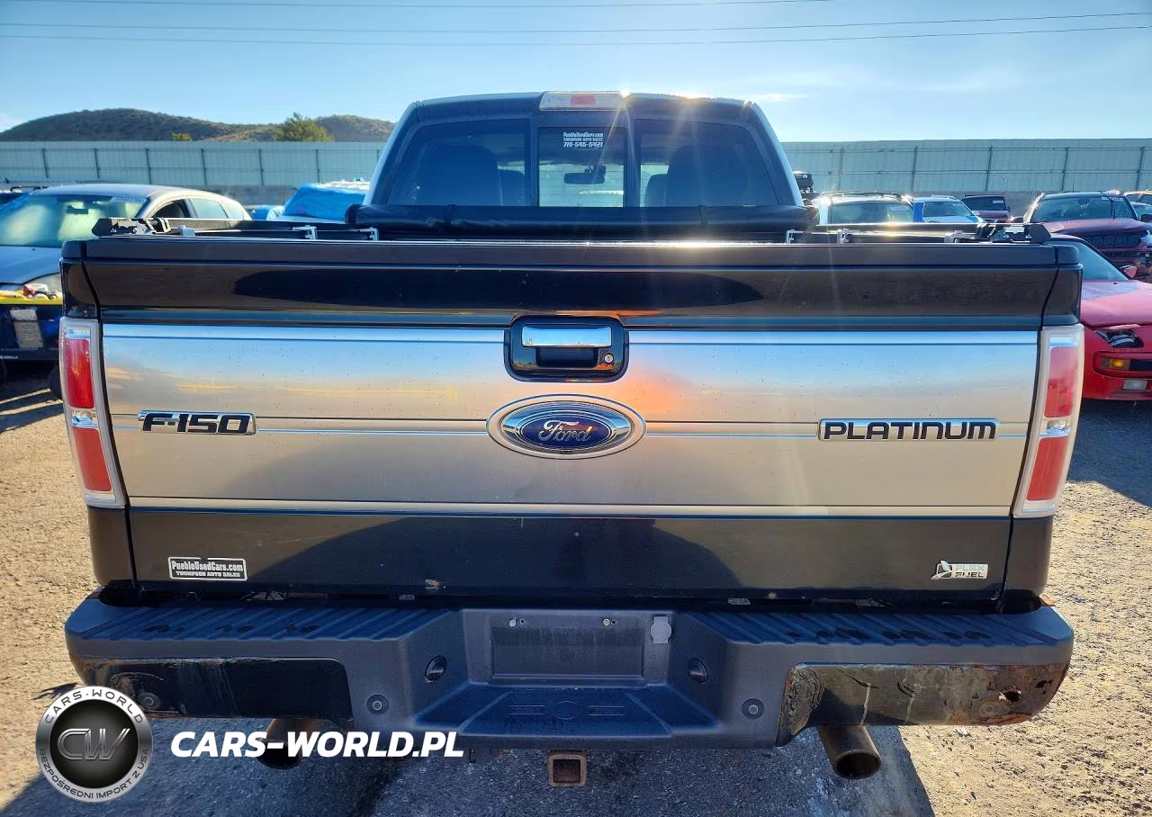 2010 Ford F150 Supercrew VIN:1FTFW1EV6AFB78044 - 6