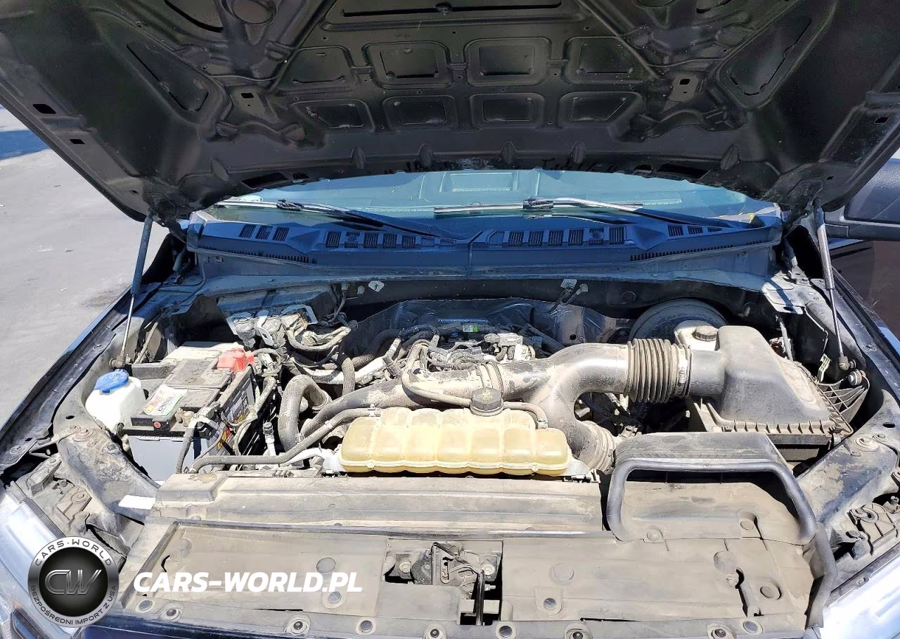 2019 Ford F150 Supercrew VIN:1FTEW1CP7KKC51740 - 11