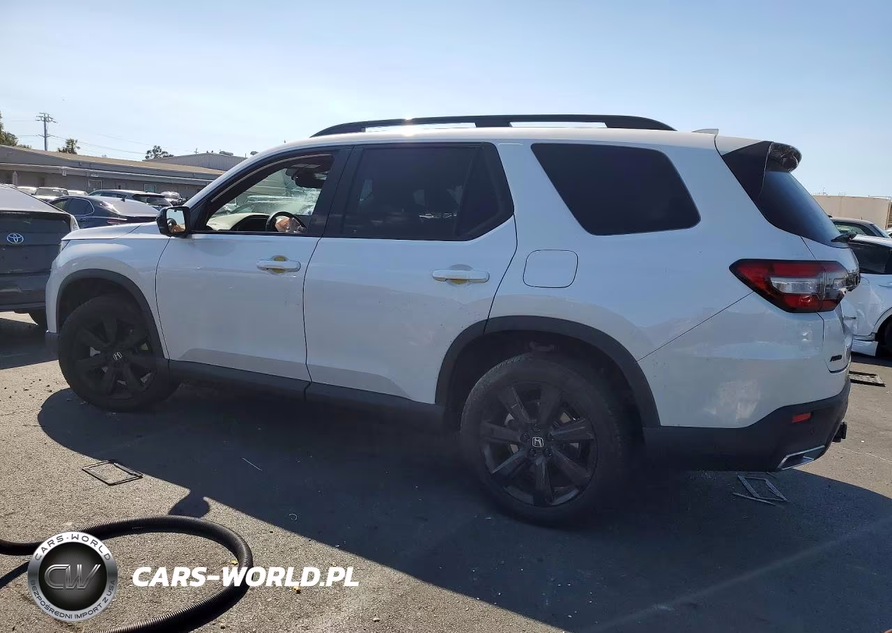 2025 Honda Pilot Black VIN:5FNYG1H92SB103268 - 2