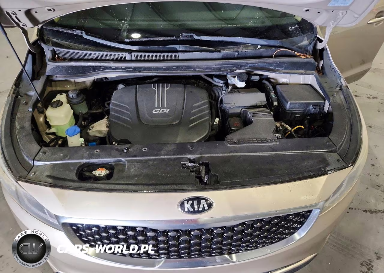 2016 Kia Sedona Lx VIN:KNDMB5C15G6158998 - 12
