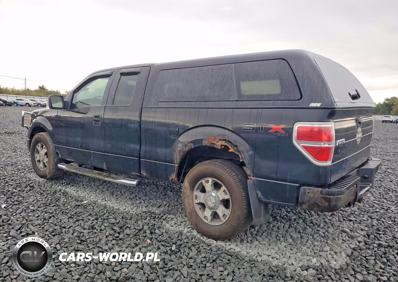 2010 Ford F150 Super Cab VIN:1FTEX1E85AFA95269 - 2