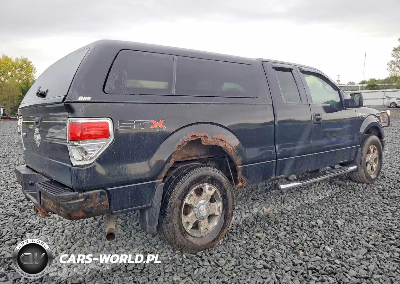 2010 Ford F150 Super Cab VIN:1FTEX1E85AFA95269 - 3