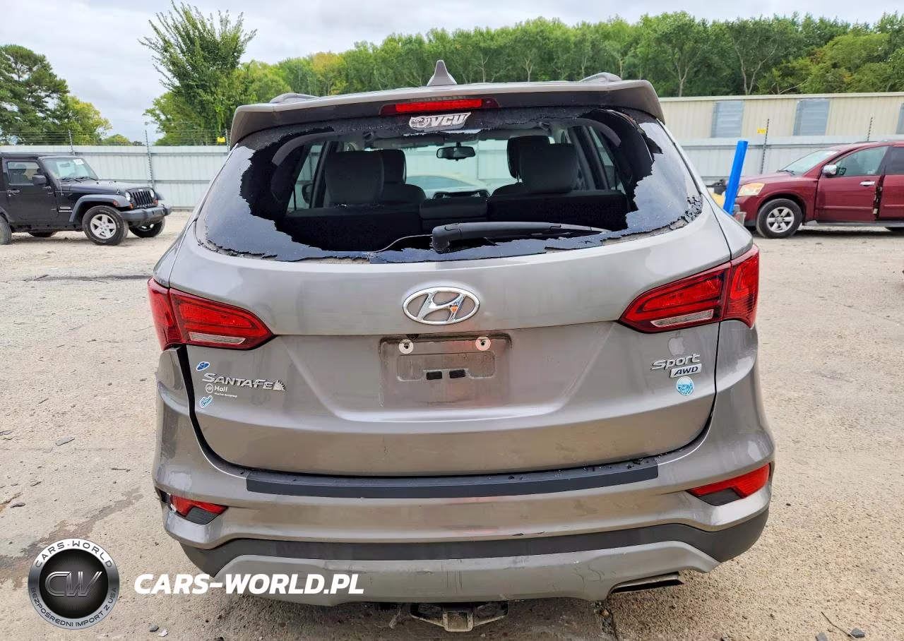 2018 Hyundai Santa Fe Sport VIN:5XYZUDLBXJG570258 - 6