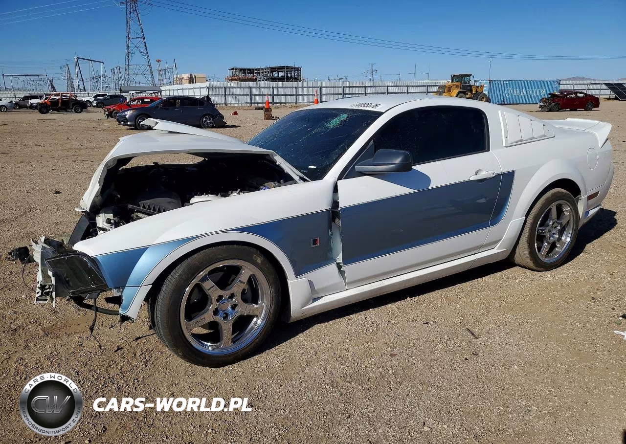 2006 Ford Mustang Gt VIN:1ZVFT82H265230621 - 1