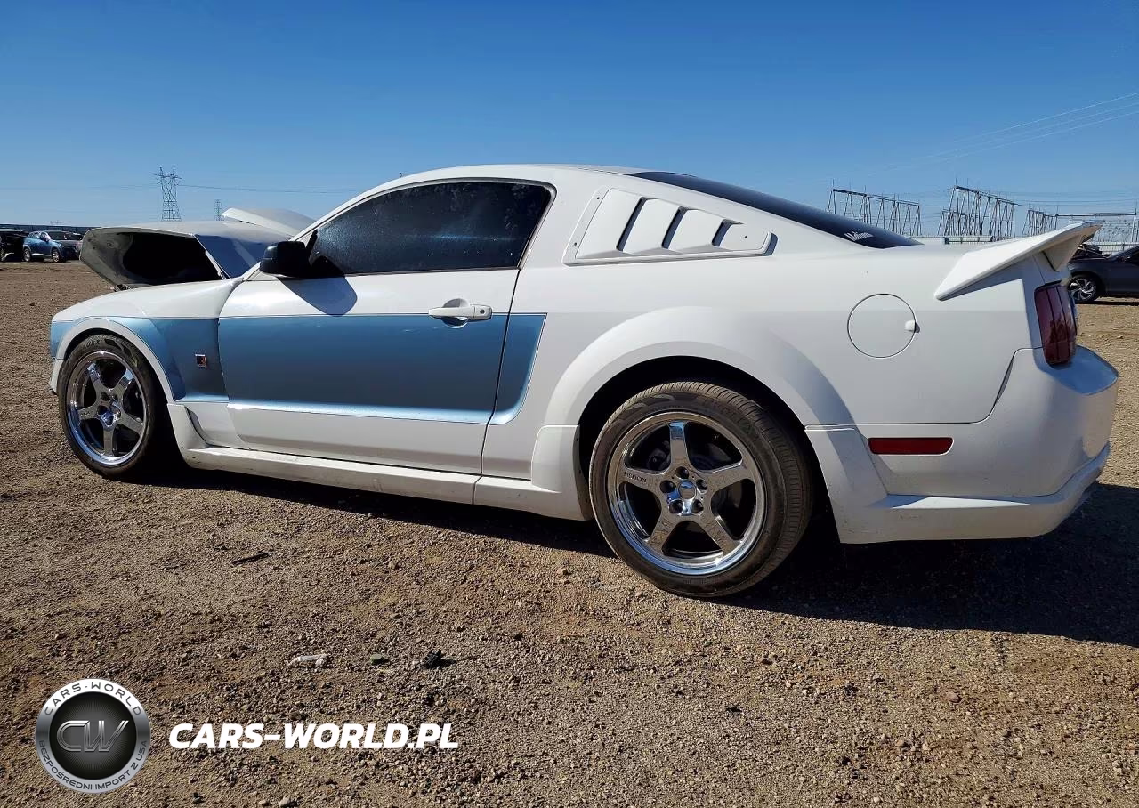 2006 Ford Mustang Gt VIN:1ZVFT82H265230621 - 2