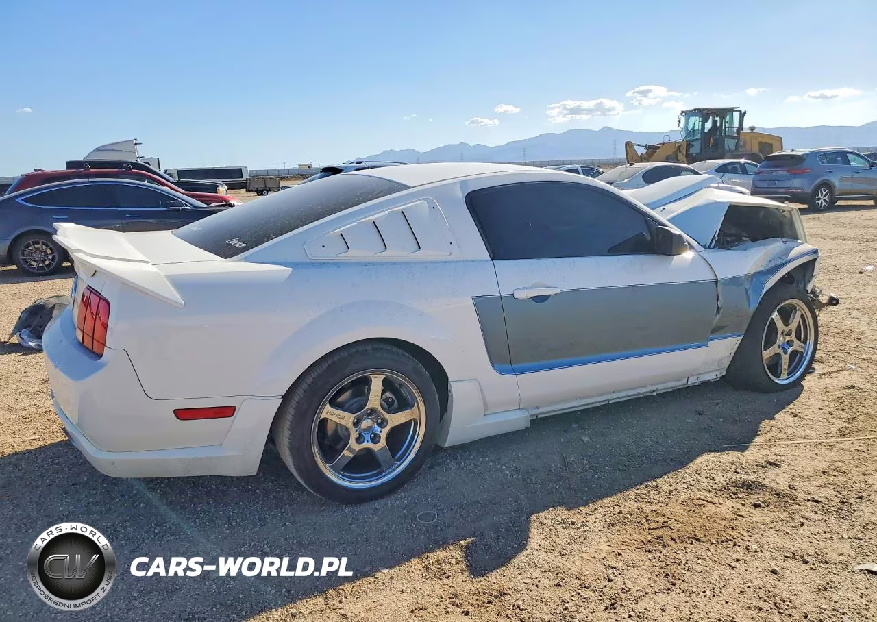 2006 Ford Mustang Gt VIN:1ZVFT82H265230621 - 3