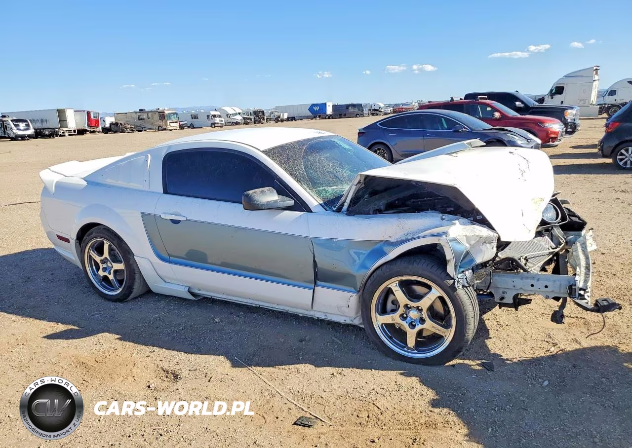 2006 Ford Mustang Gt VIN:1ZVFT82H265230621 - 4