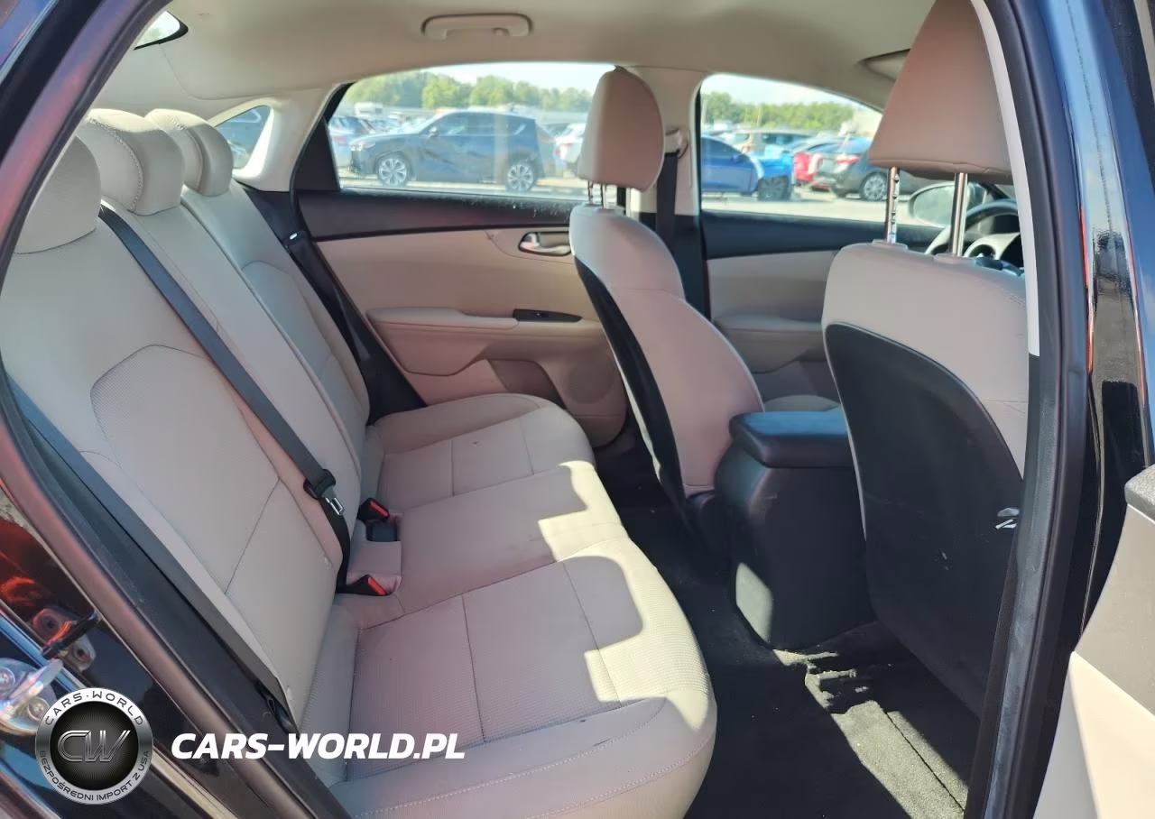 2019 Kia Forte Lxs VIN:3KPF24AD6KE132655 - 10