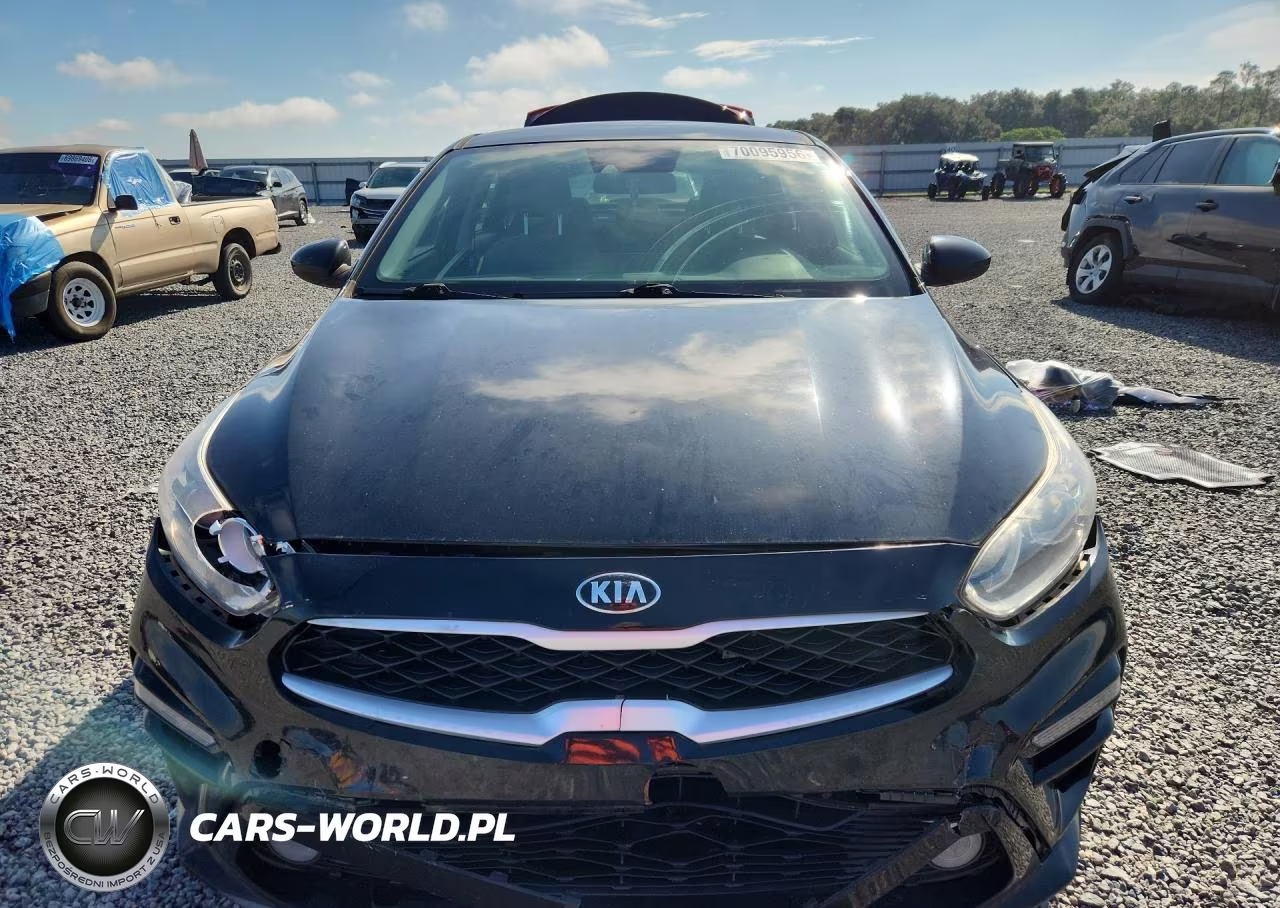 2019 Kia Forte Lxs VIN:3KPF24AD6KE132655 - 5