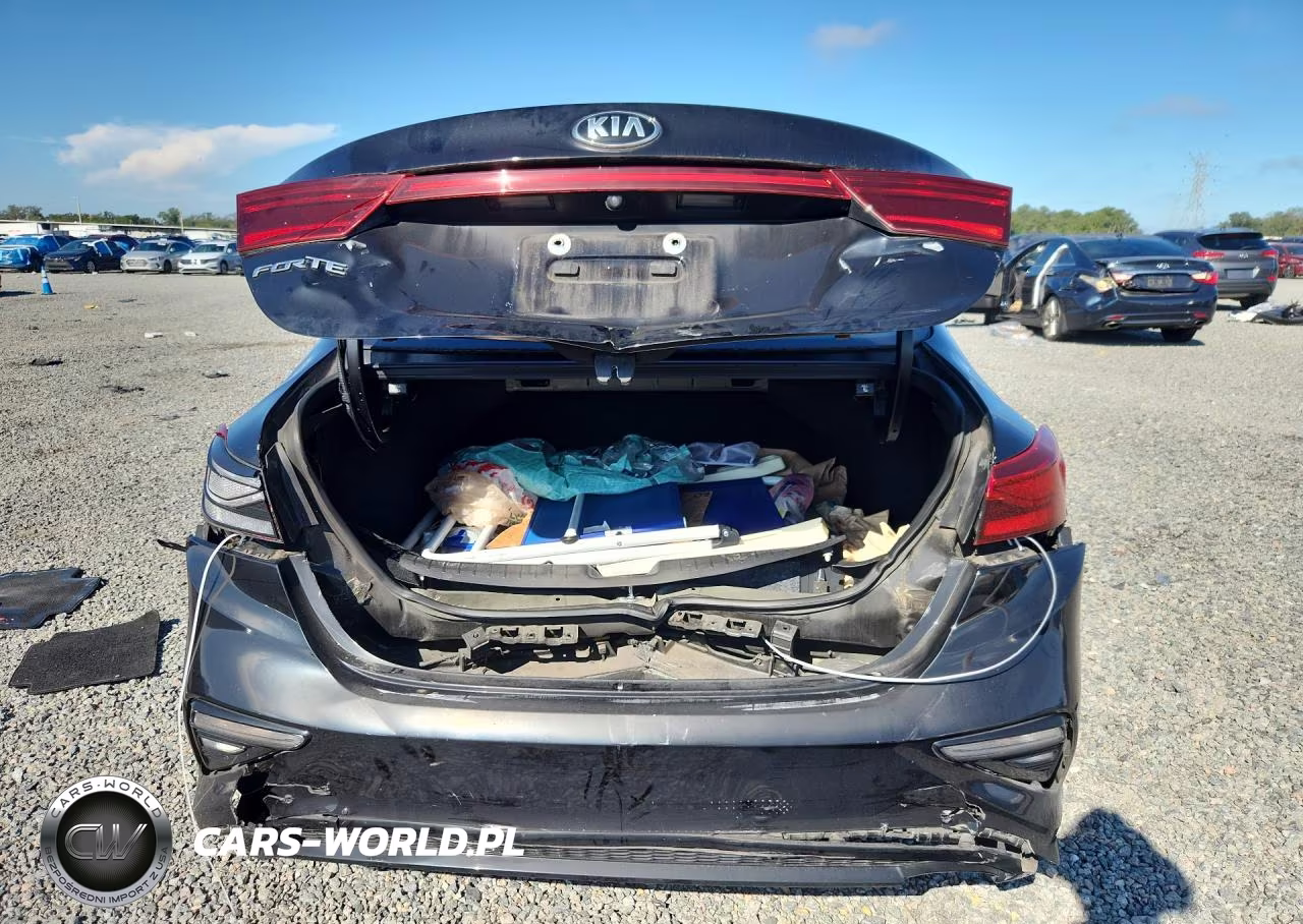2019 Kia Forte Lxs VIN:3KPF24AD6KE132655 - 6