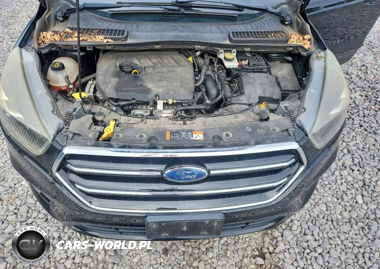2017 Ford Escape Se VIN:1FMCU0GD7HUC74239 - 11