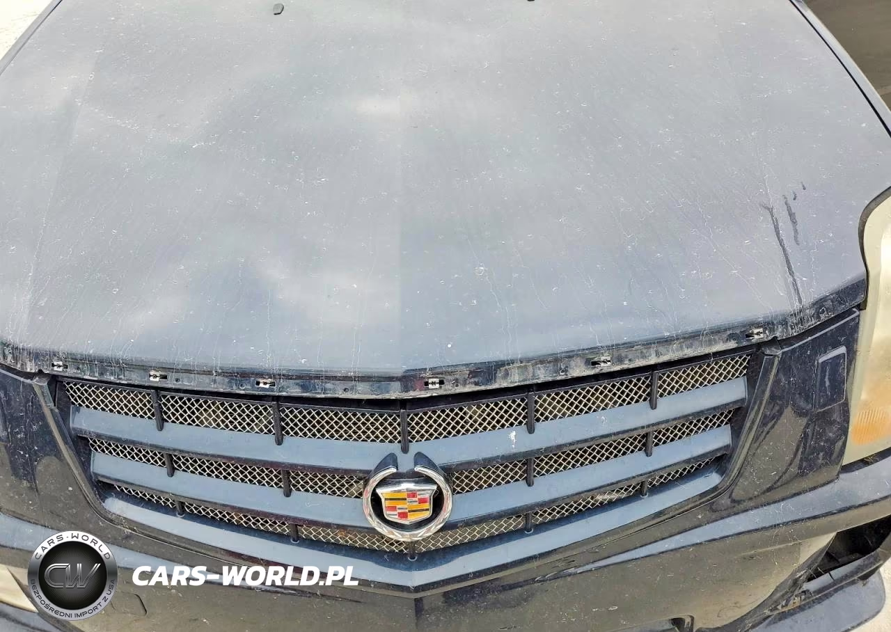 2007 Cadillac Srx VIN:1GYEE637470169879 - 12