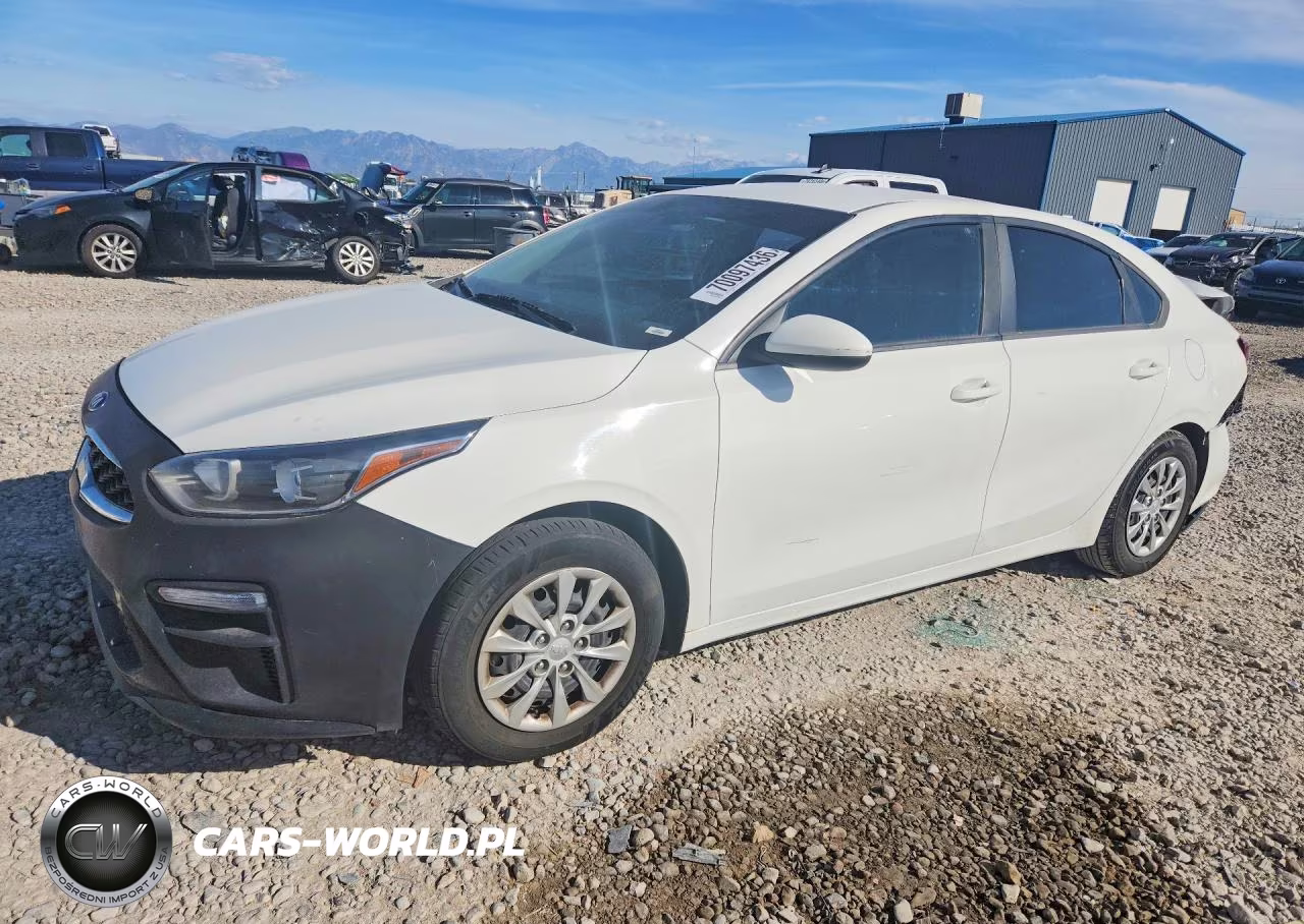 2019 Kia Forte Fe