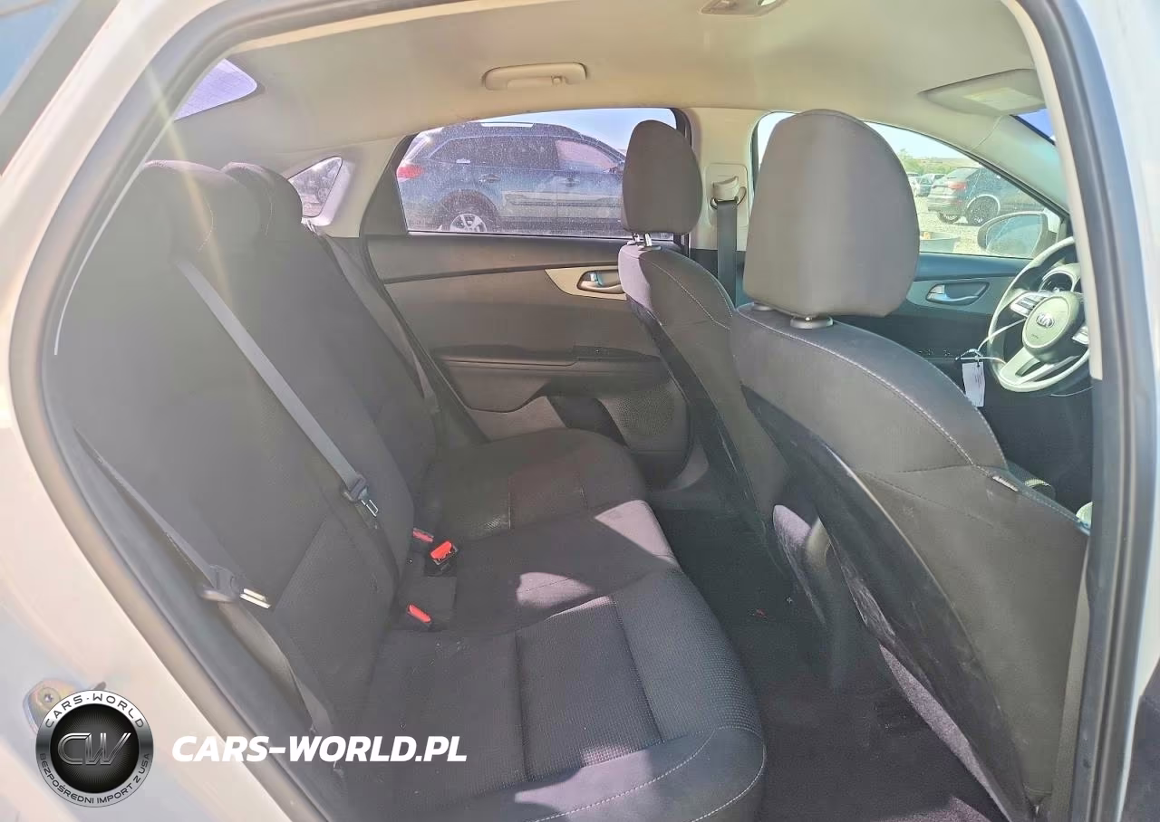 2019 Kia Forte Fe VIN:3KPF24AD7KE013237 - 10