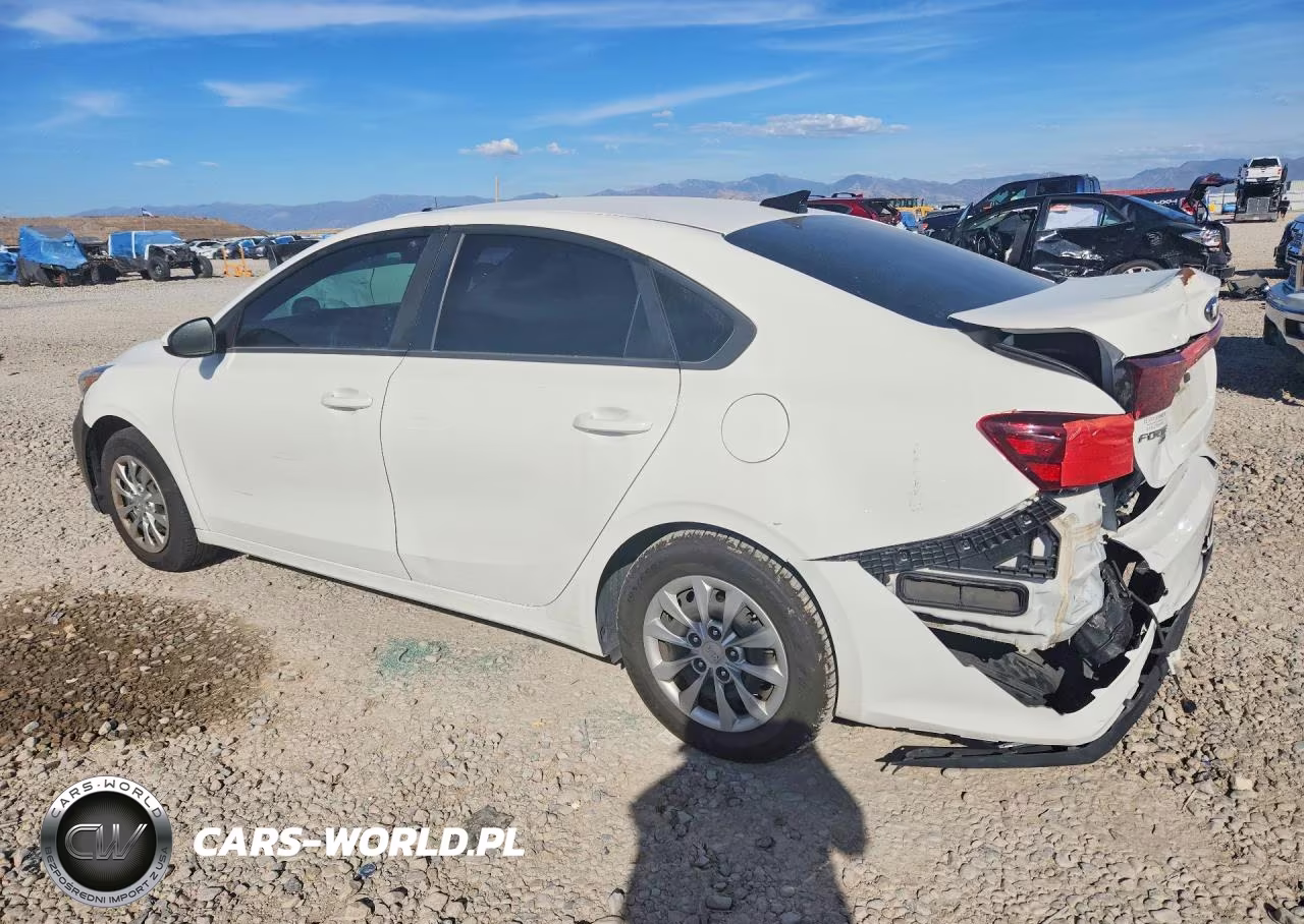 2019 Kia Forte Fe VIN:3KPF24AD7KE013237 - 2
