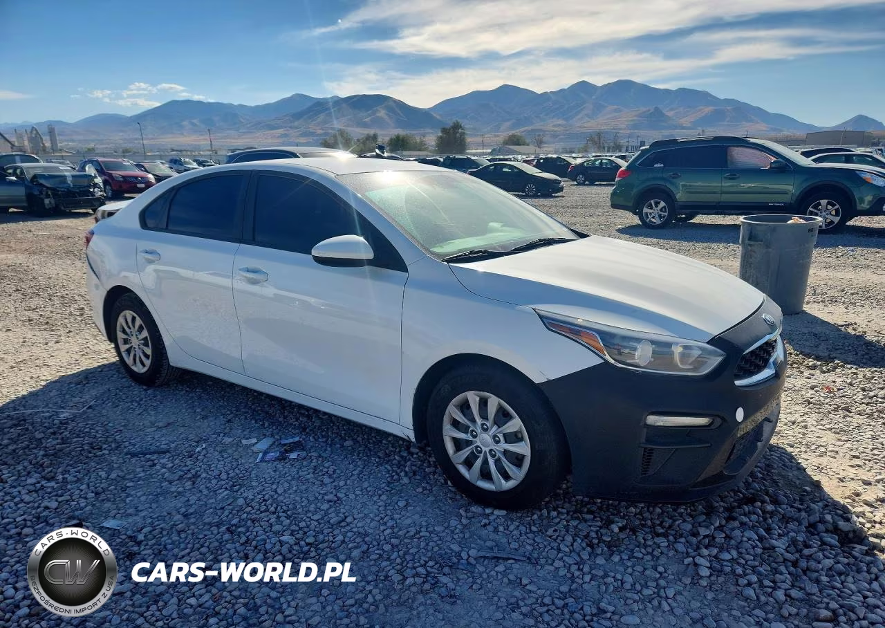 2019 Kia Forte Fe VIN:3KPF24AD7KE013237 - 4