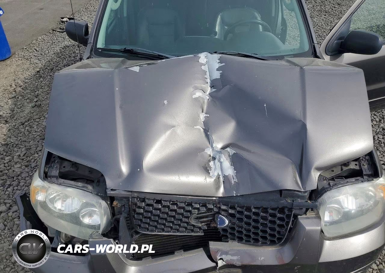 2006 Ford Escape Limited VIN:1FMCU94166KA06404 - 12