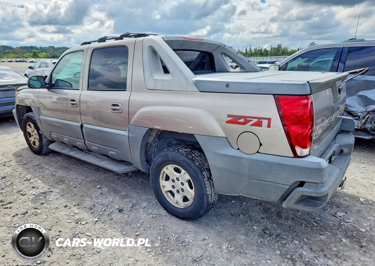 2002 Chevrolet Avalanche K1500 VIN:3GNEK13T42G218766 - 2