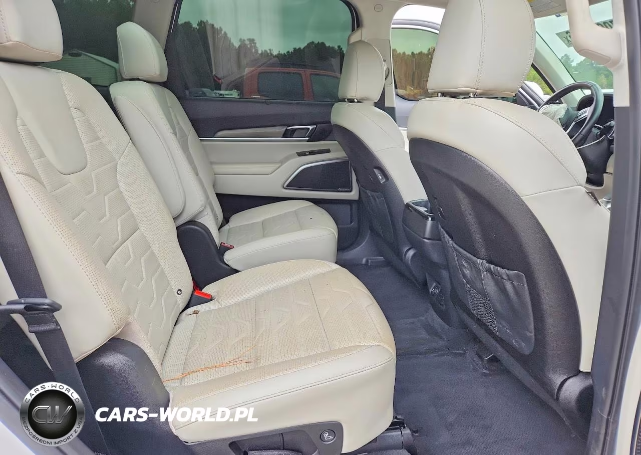 2021 Kia Telluride Sx VIN:5XYP5DHC5MG153625 - 11