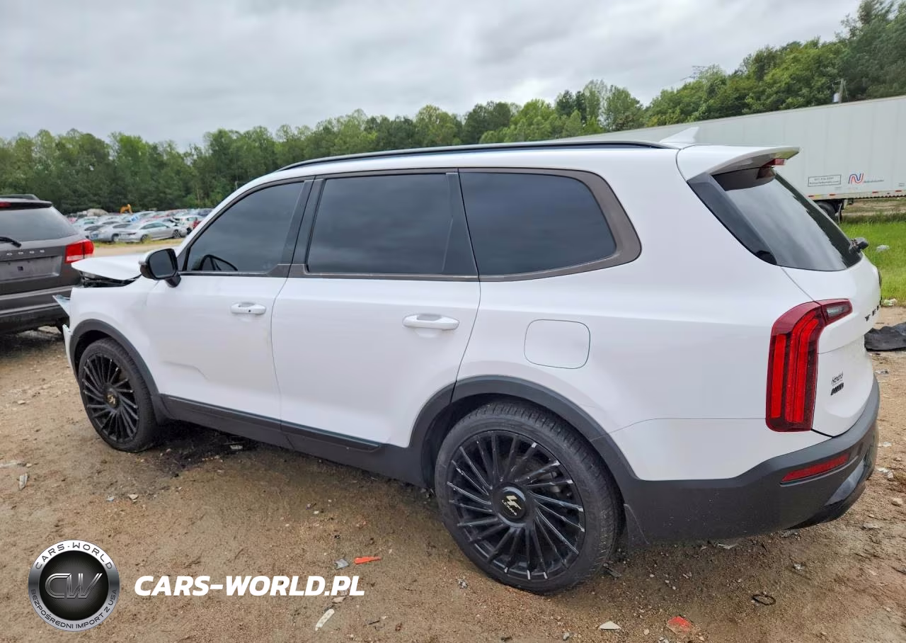 2021 Kia Telluride Sx VIN:5XYP5DHC5MG153625 - 2