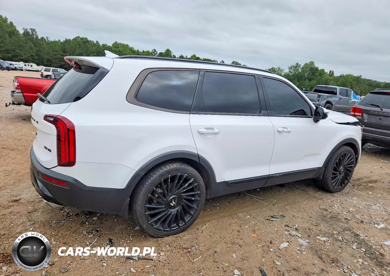 2021 Kia Telluride Sx VIN:5XYP5DHC5MG153625 - 3