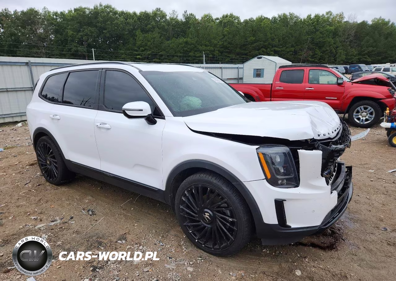 2021 Kia Telluride Sx VIN:5XYP5DHC5MG153625 - 4