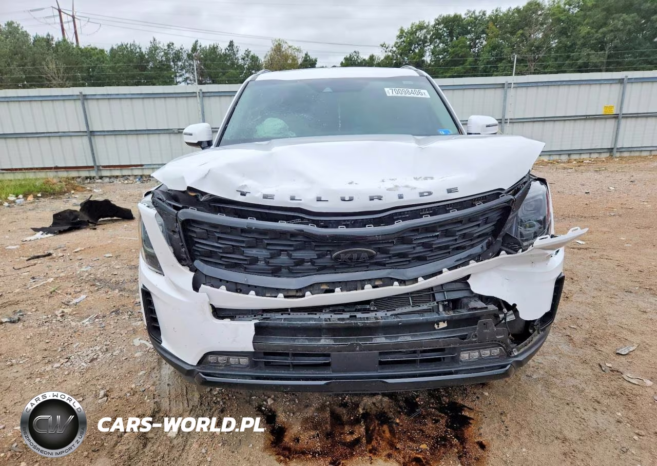 2021 Kia Telluride Sx VIN:5XYP5DHC5MG153625 - 5