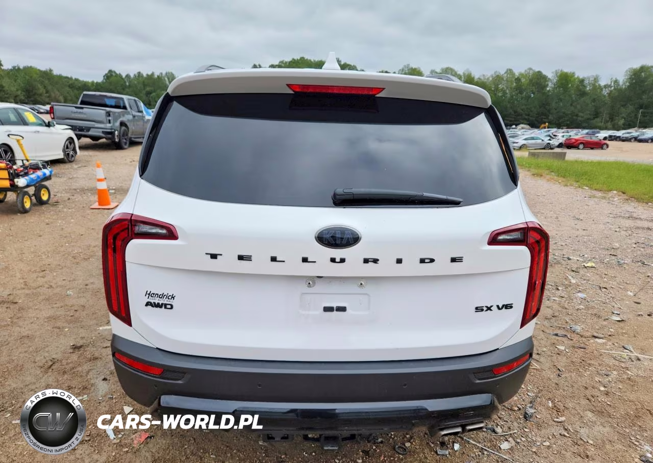 2021 Kia Telluride Sx VIN:5XYP5DHC5MG153625 - 6