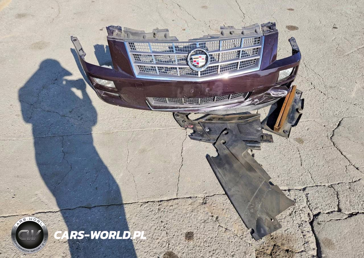 2009 Cadillac Sts VIN:1G6DZ67A390168787 - 12