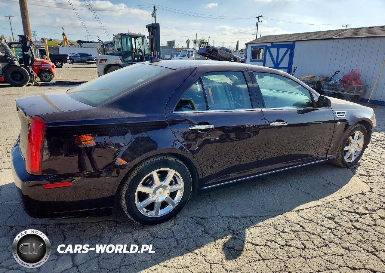 2009 Cadillac Sts VIN:1G6DZ67A390168787 - 3
