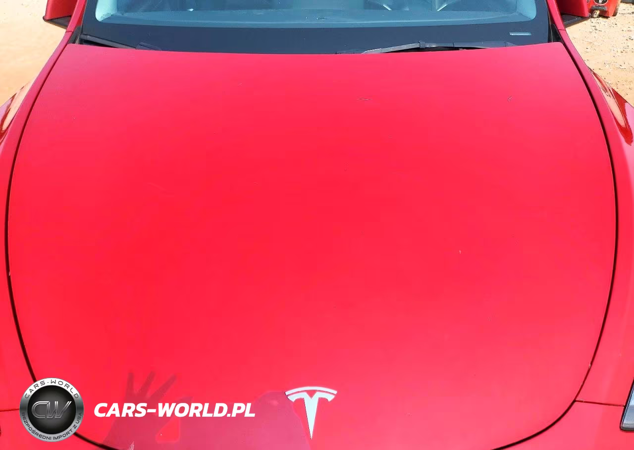 2023 Tesla Model Y VIN:7SAYGDEE0PF885034 - 11