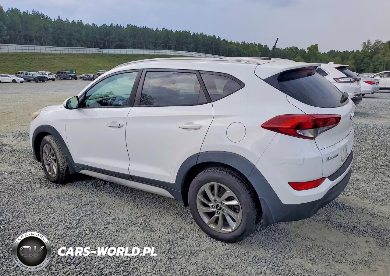 2017 Hyundai Tucson Se VIN:KM8J3CA47HU407909 - 2