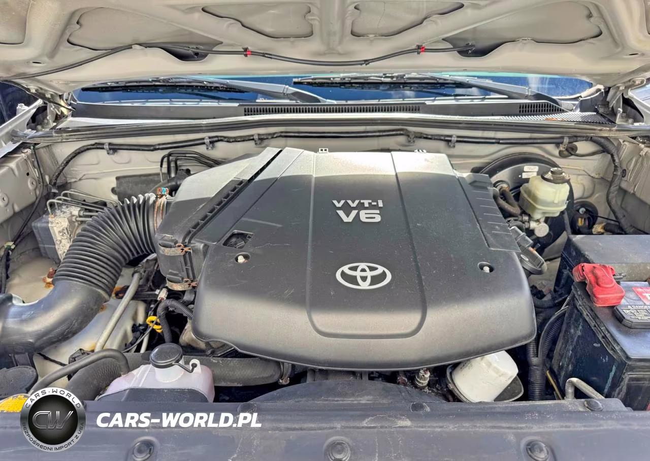 2009 Toyota Tacoma V6 VIN:5TEUU42N49Z670430 - 11