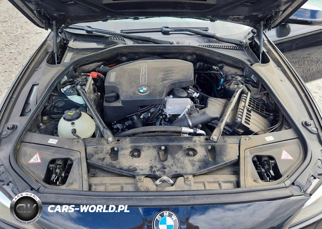 2015 BMW 528 Xi VIN:WBA5A7C5XFD623224 - 11