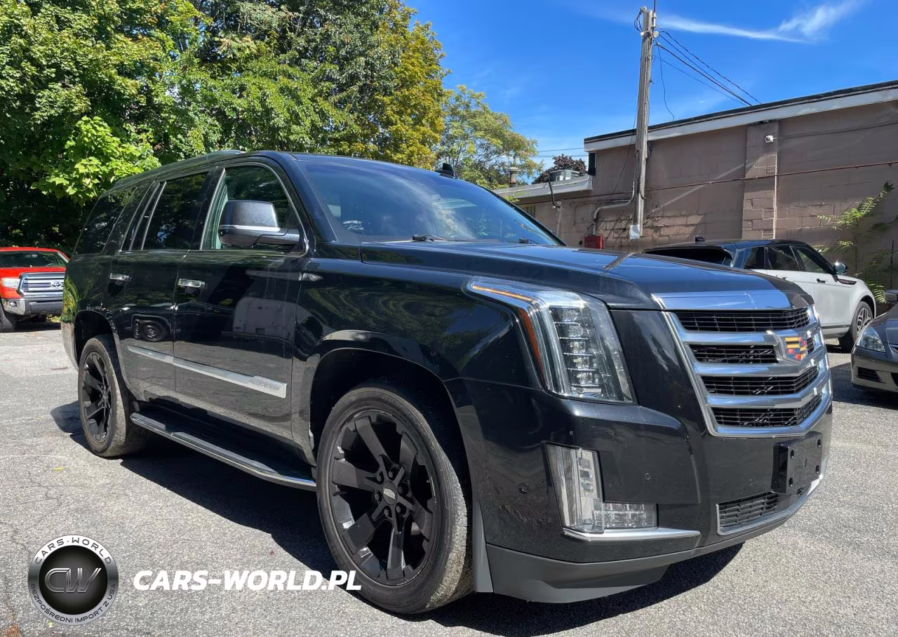 2019 Cadillac Escalade Premium Luxury VIN:1GYS4CKJXKR345694 - 1