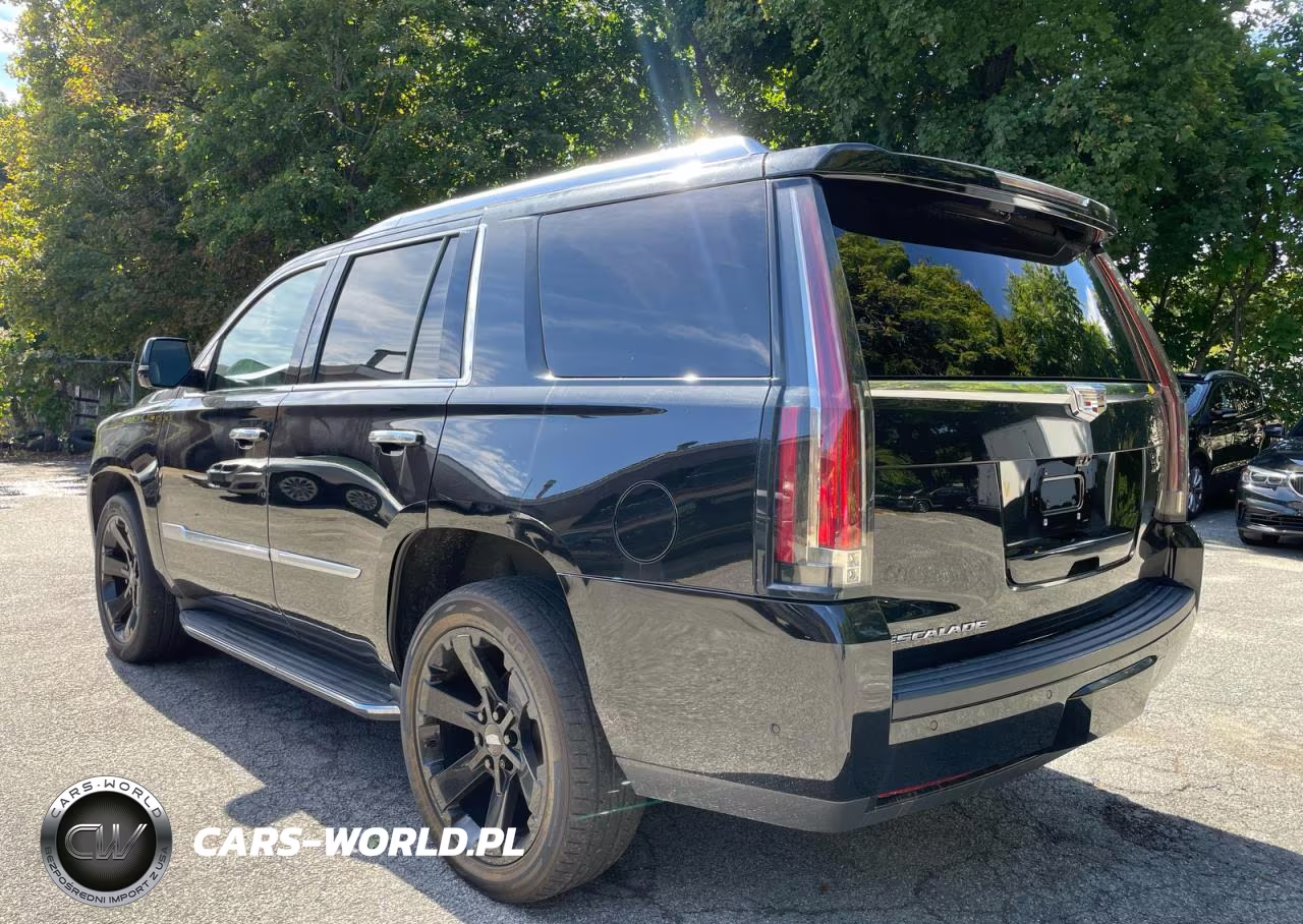 2019 Cadillac Escalade Premium Luxury VIN:1GYS4CKJXKR345694 - 3