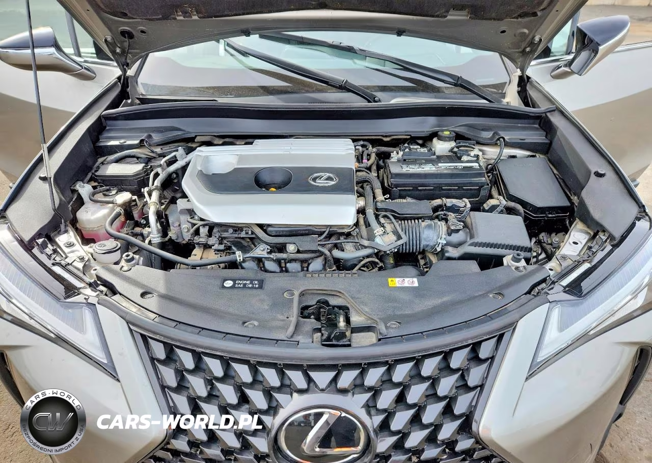 2022 Lexus Ux 200 Base VIN:JTHX3JBH8N2045860 - 11