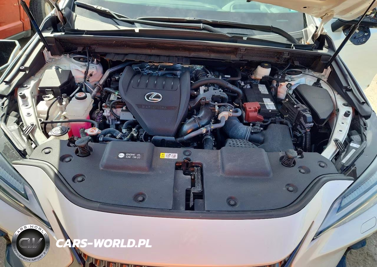 2024 Lexus Nx 350 Luxury VIN:2T2HGCEZ4RC032326 - 12