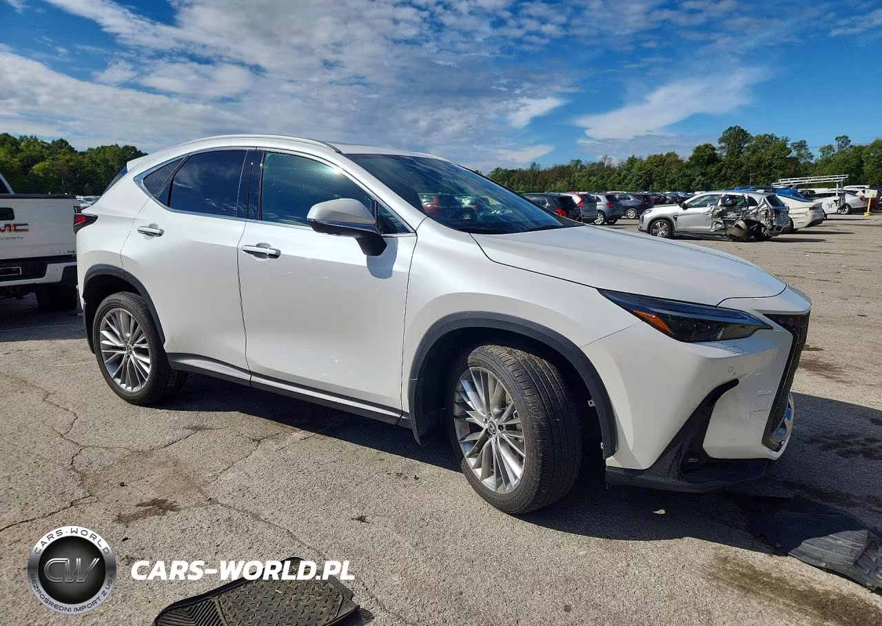 2024 Lexus Nx 350 Luxury VIN:2T2HGCEZ4RC032326 - 4