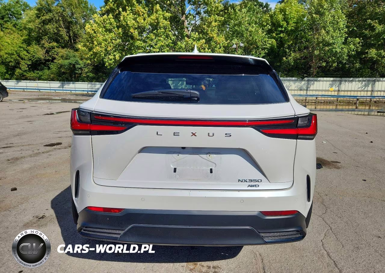 2024 Lexus Nx 350 Luxury VIN:2T2HGCEZ4RC032326 - 6
