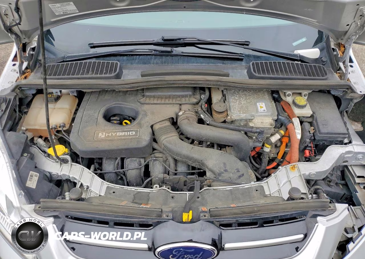 2018 Ford C-Max Titanium VIN:1FADP5DU7JL101260 - 11