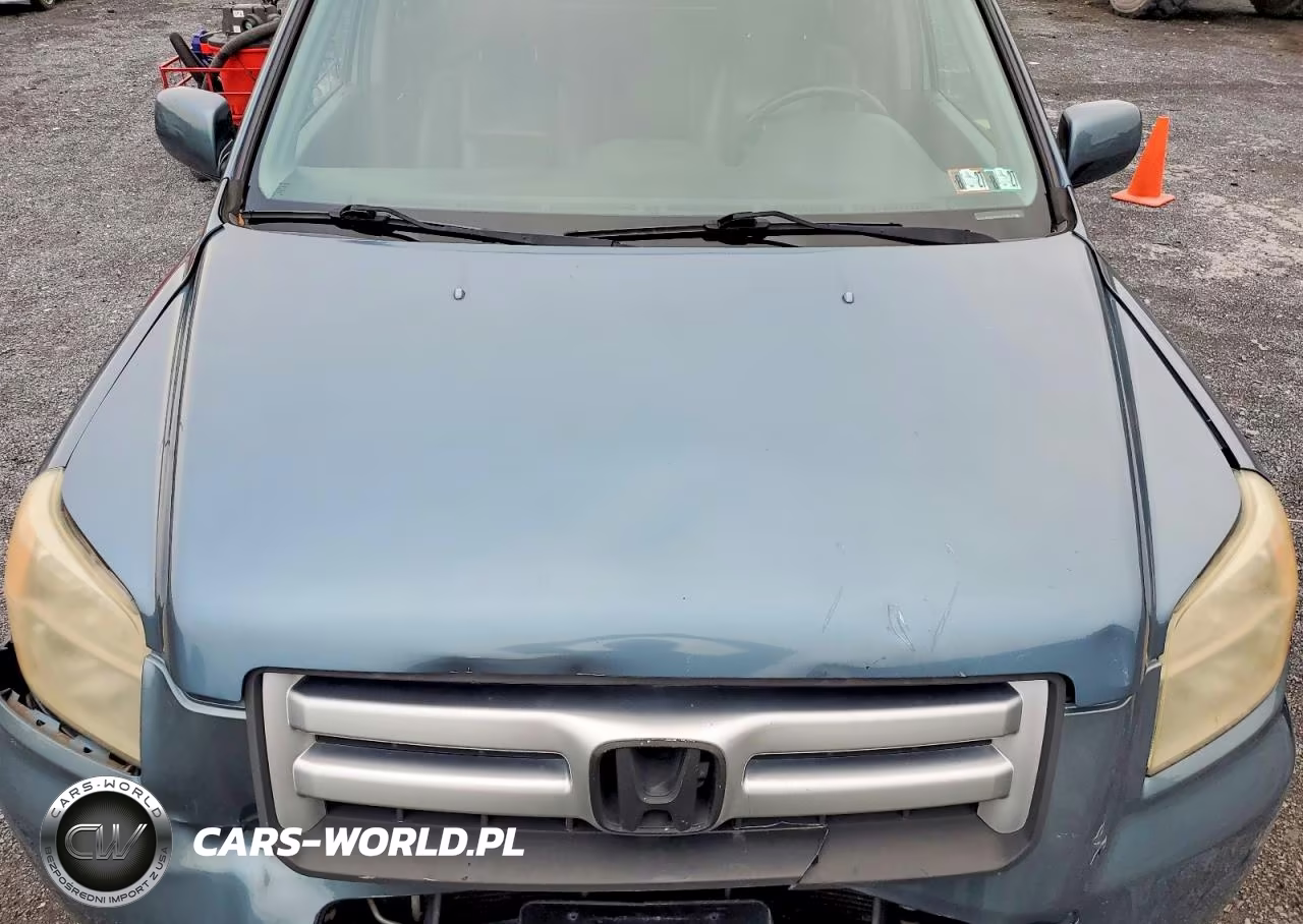 2007 Honda Pilot Exl VIN:5FNYF18557B008789 - 12