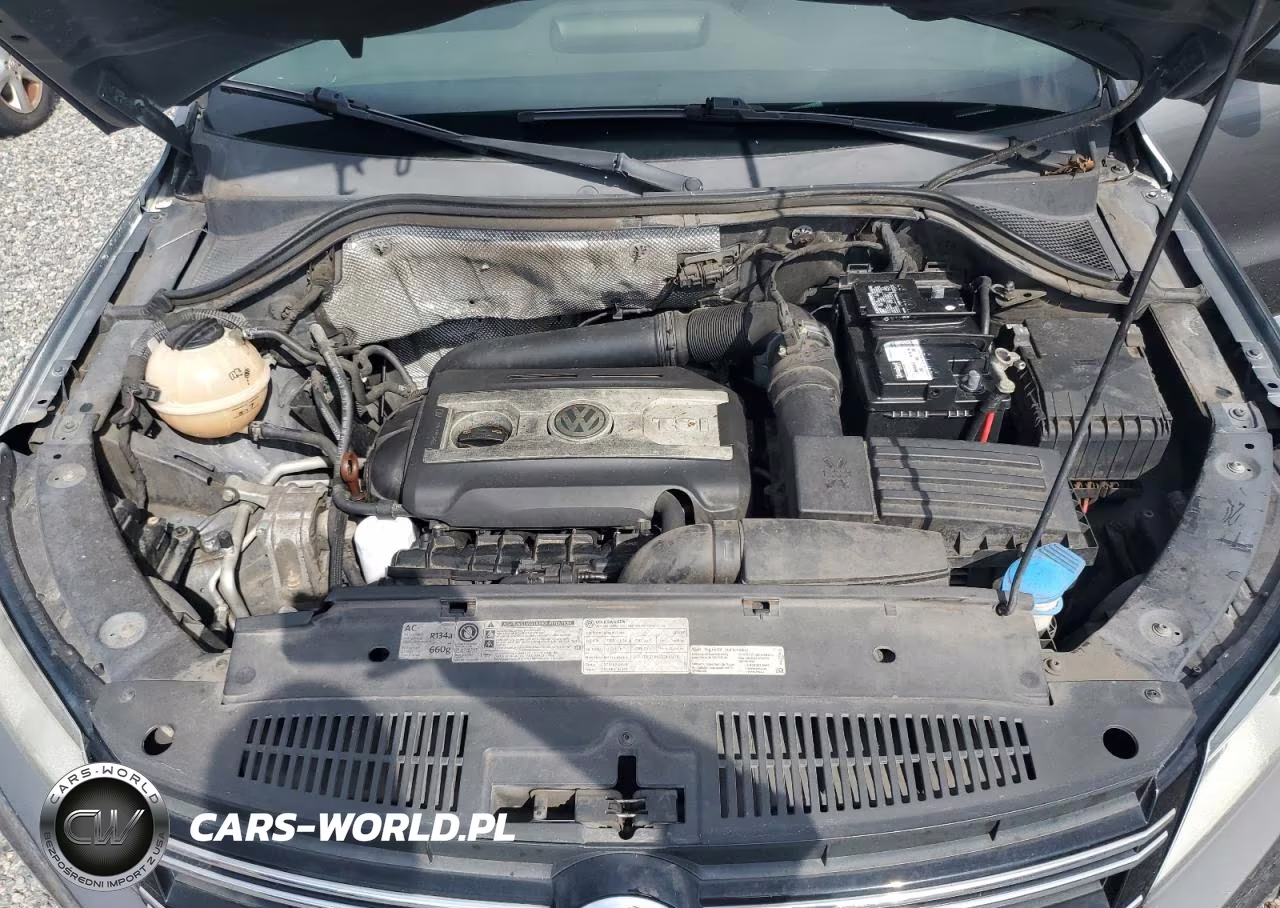 2012 Volkswagen Tiguan S VIN:WVGAV7AX6CW006246 - 12