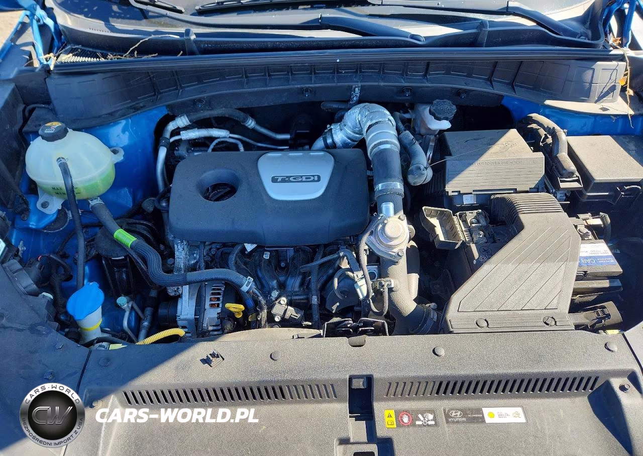 2018 Hyundai Tucson Limited VIN:KM8J3CA20JU688696 - 12