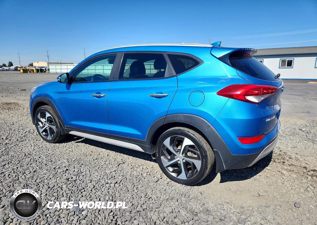 2018 Hyundai Tucson Limited VIN:KM8J3CA20JU688696 - 2