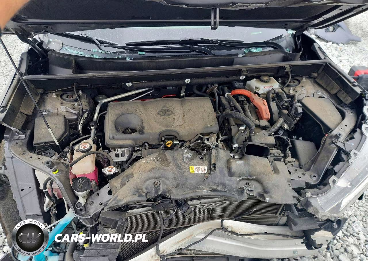 2019 Toyota Rav4 Xse VIN:JTMEWRFV4KJ025668 - 12