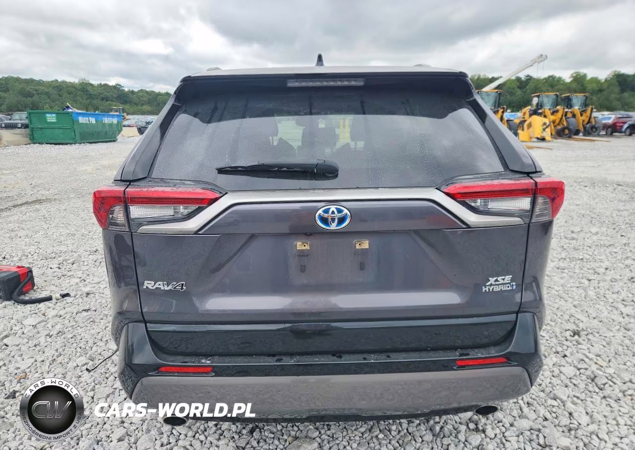 2019 Toyota Rav4 Xse VIN:JTMEWRFV4KJ025668 - 6