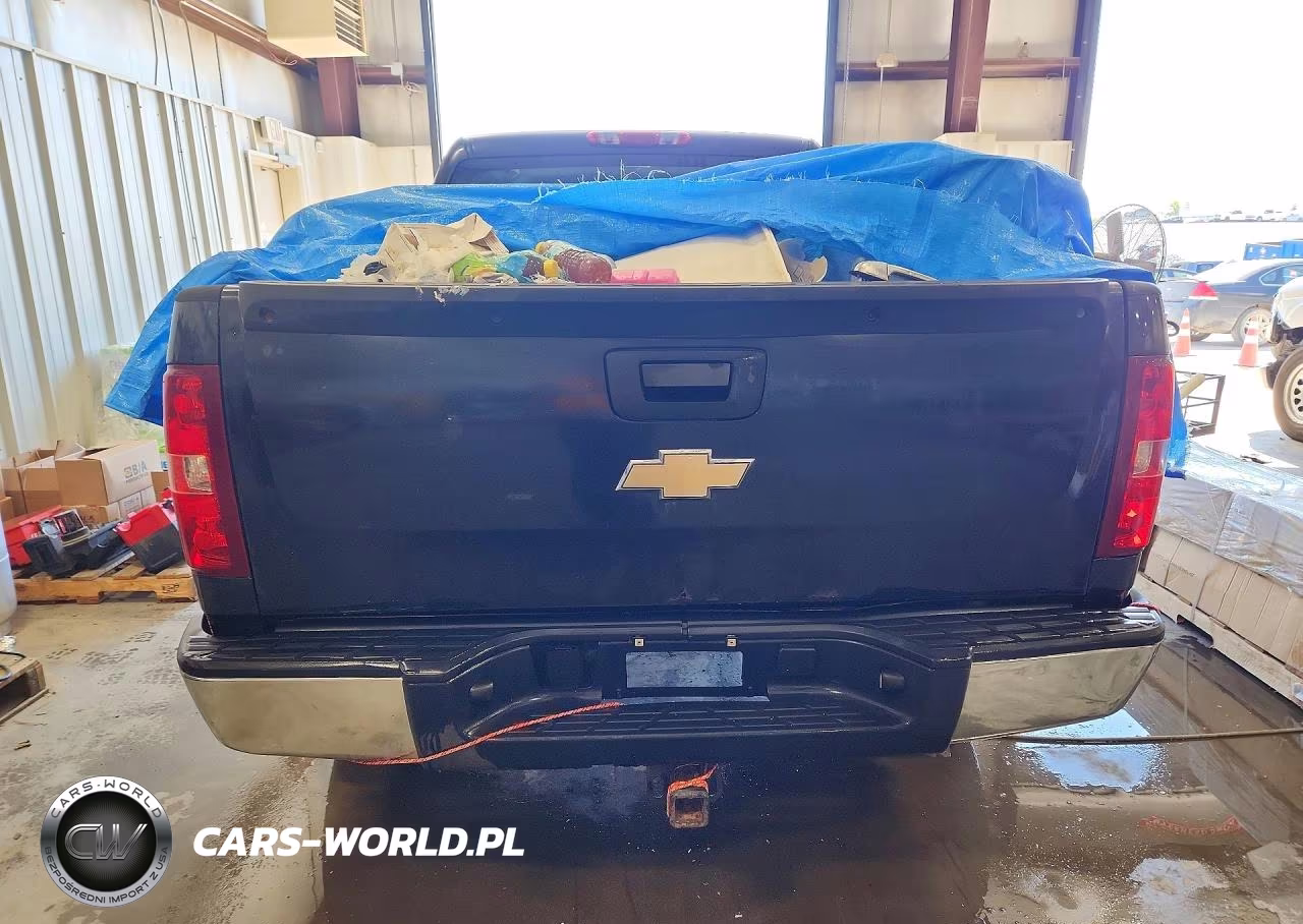 2009 Chevrolet Silverado K1500 Lt VIN:2GCEK23M991125025 - 6
